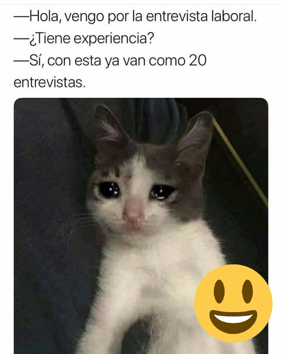 bullboss63's tweet photo. @_Aguss_Paz #DesdeElPeral
🤕Reflexión en un ambulatorio de Camila al cumplir 100 horas trabajadas
#AlMes
#LaVerdadEsUnaSola https://t.co/igmojqN3My