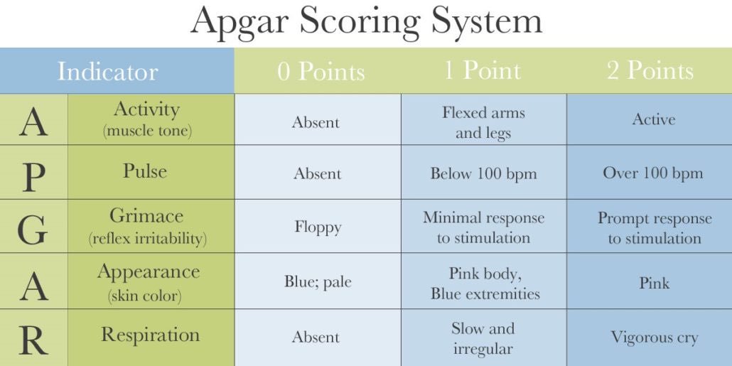 braincells4stud's tweet photo. El Test de APGAR permite valorar el estado hemodinámico y respiratorio del RN. Se realiza al 1er y 5to minuto de vida.

Puntaje máximo es de 10; se repite cada 5min en caso de un resultado <7 

-No indica reanimación

Un APGAR bajo se asocia a mortalidad, parálisis cerebral. https://t.co/jGyz4qkWgR