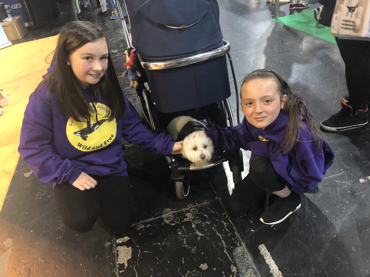 NaeStrawAtAw's tweet photo. @ErskineCGarden @CleanUpScotland @thedoglovershow @Montydogge @Motorbikemilly We caught a quick pat as she was zooming past...on a pram! 😉 https://t.co/OWMERxkbrG