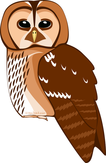 Owlのtwitterイラスト検索結果 古い順 Owlのtwitterイラスト検索結果 古い順