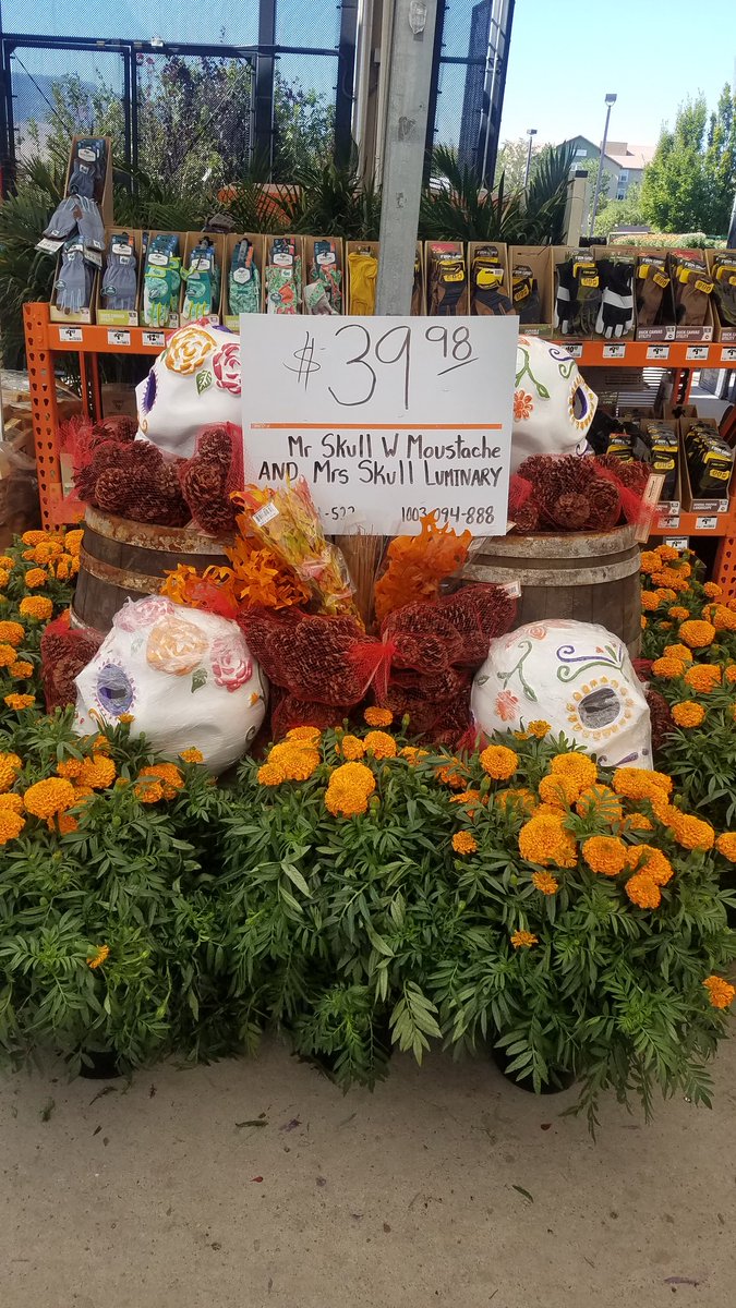 JayceMhd's tweet photo. Getting ready for fall here at store 3311! #3311wins @Deanna_HD @steveknott020 @THD_SteveMitch @nlunsford11 https://t.co/yr9NZeFx7W