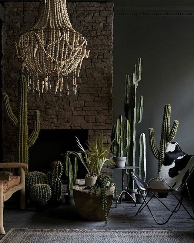 CelestialShed's tweet photo. Reposting @cultmart:
FAKE IT UNTIL YOU MAKE IT.
🌵
Plants and flowers can add a revitalising touch to your living space but can be a high maintenance job to upkeep.  Artificial plants are a great alternative for adding a botanical edge to your décor scheme whilst maintaining https://t.co/q8jGoptqsj