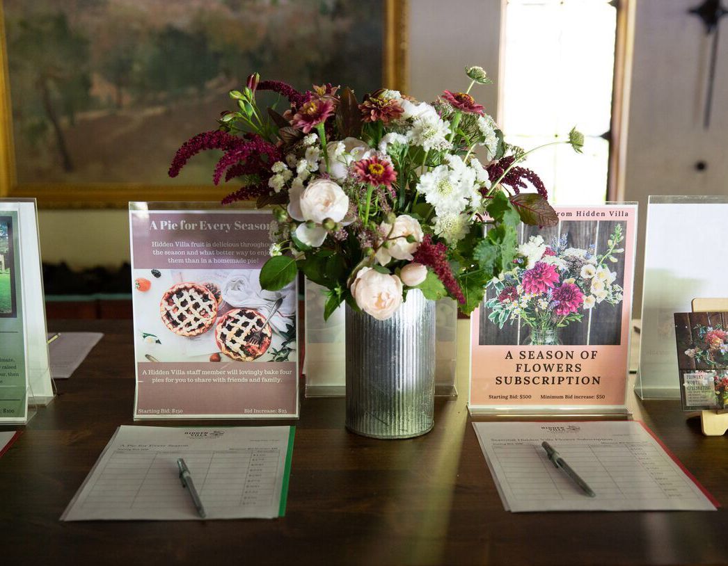 Hidden Villa tweet media