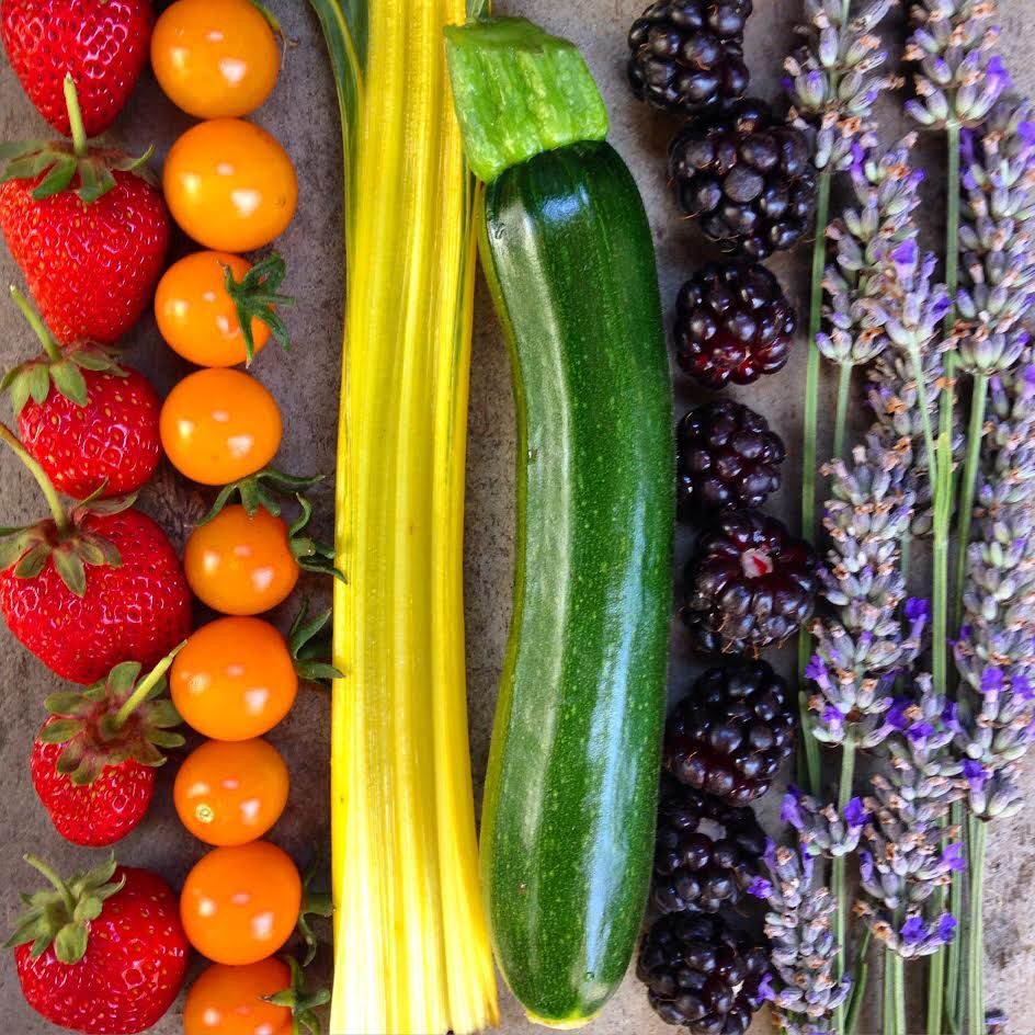 Hidden Villa tweet media