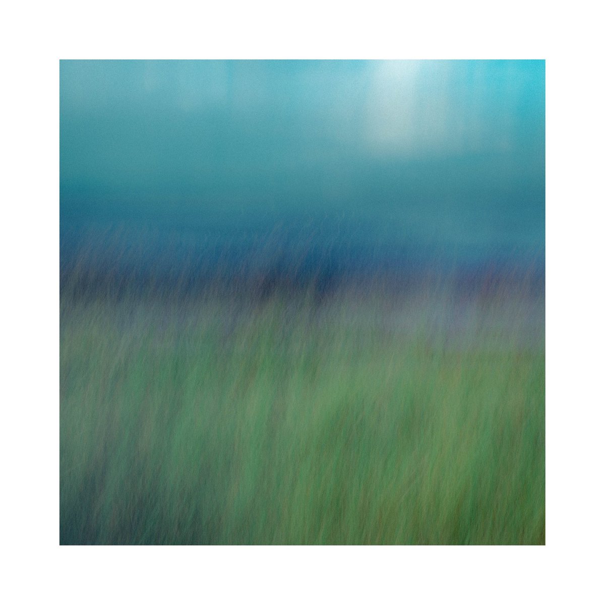 GoswellSean's tweet photo. Dune grasses.
#icm #impressionism #abstractexpressionism #artphotography https://t.co/z0OFydSiWd