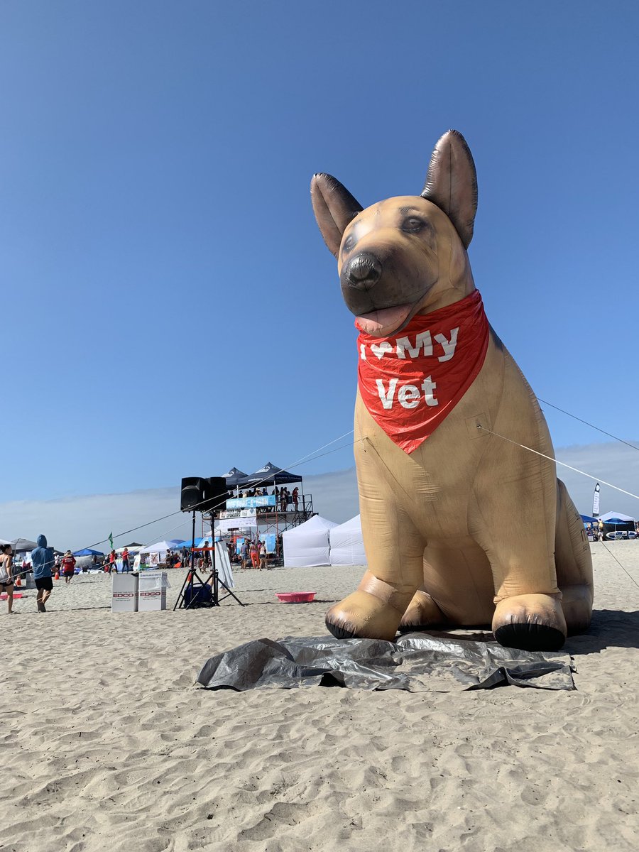 ProximityPHM's tweet photo. Surf Dog SurfAThon by @HWAC #surfdogsurfathon #delmar #SanDiego #proximityphm https://t.co/99F3DOPxsf