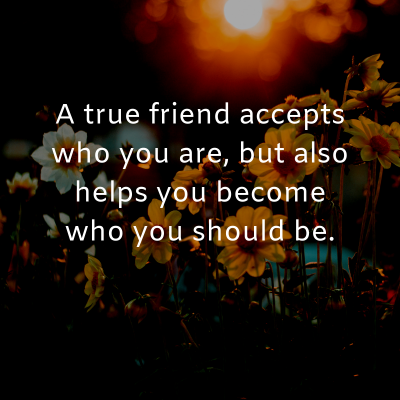 What Is The Real Definition Of A True Friend?