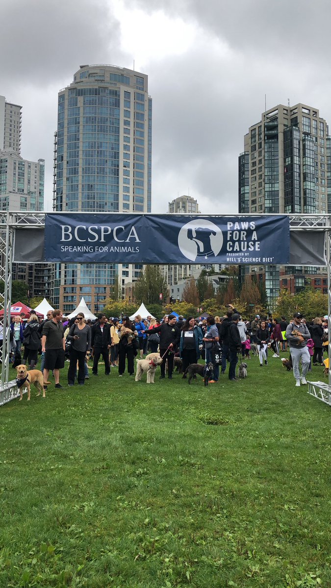 BC_SPCA's tweet photo. Off and walking!! #pawsforbc https://t.co/FDiGQKfTCl