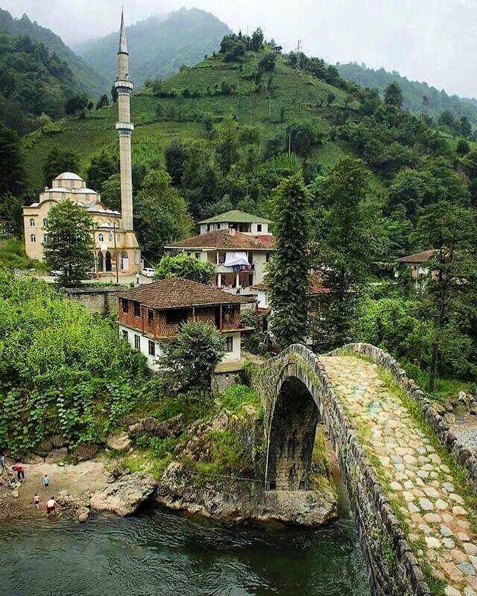 Muazzam güzelliklerde bugün 💚💙
Timisvat Köprüsü