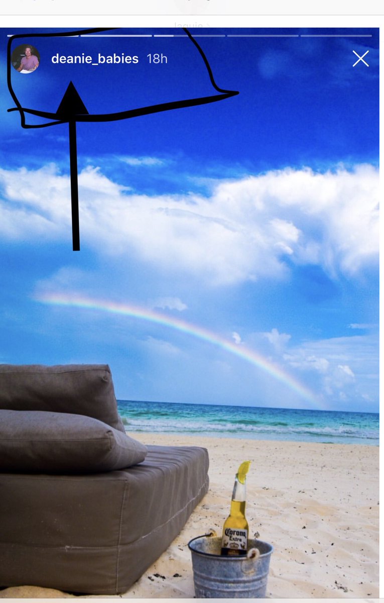 MegsterFoster's tweet image. These 2 aren’t doing so great either.... same freakin lounge chair 🤷‍♀️🤦‍♀️