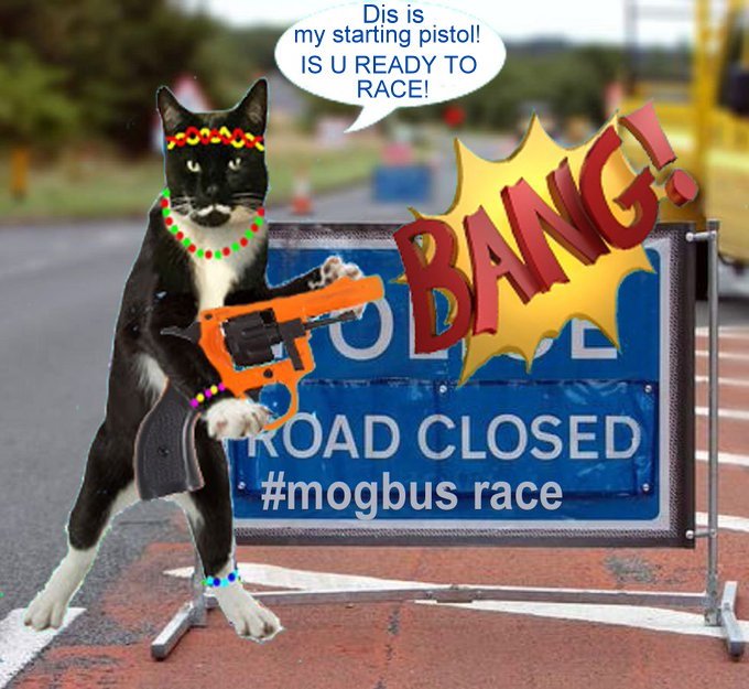 Is u ready fur the #Mogbus race! 😹🚍🚍