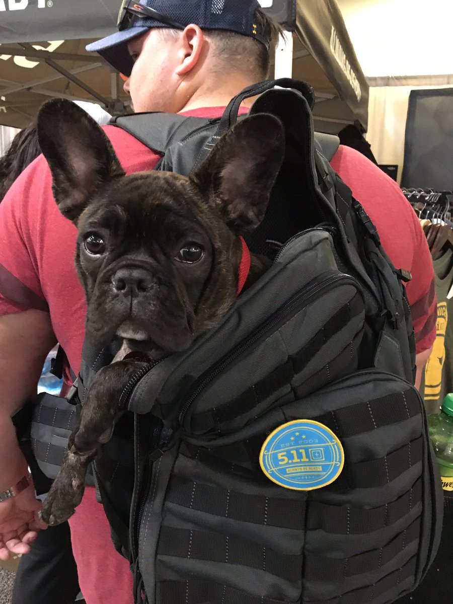 kez_sparks's tweet photo. This fella is enjoying @taccomcanada inside his @511Tactical #backpack #TACCOM2019 #Toronto #511featureme #weare511 #DogLife https://t.co/sPMHQHOvYs