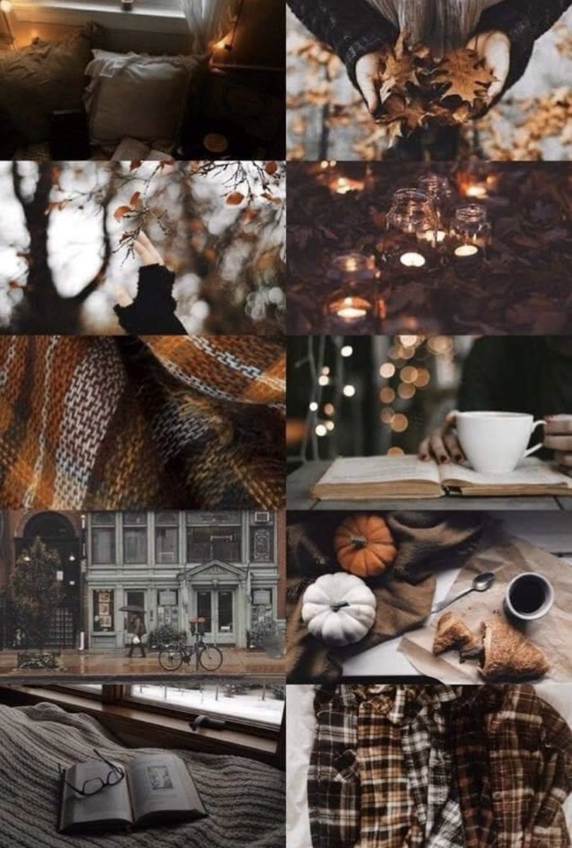 Singer0fStories's tweet image. A6: I don’t have a book, but here’s a mood board I found the other day that I love (and I don’t know who made it so if it was you—thank you) #upperclassmenchat 🍁🍂🎃