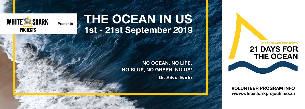 The Ocean in You - mailchi.mp/ac3a8fbfaab8/t…