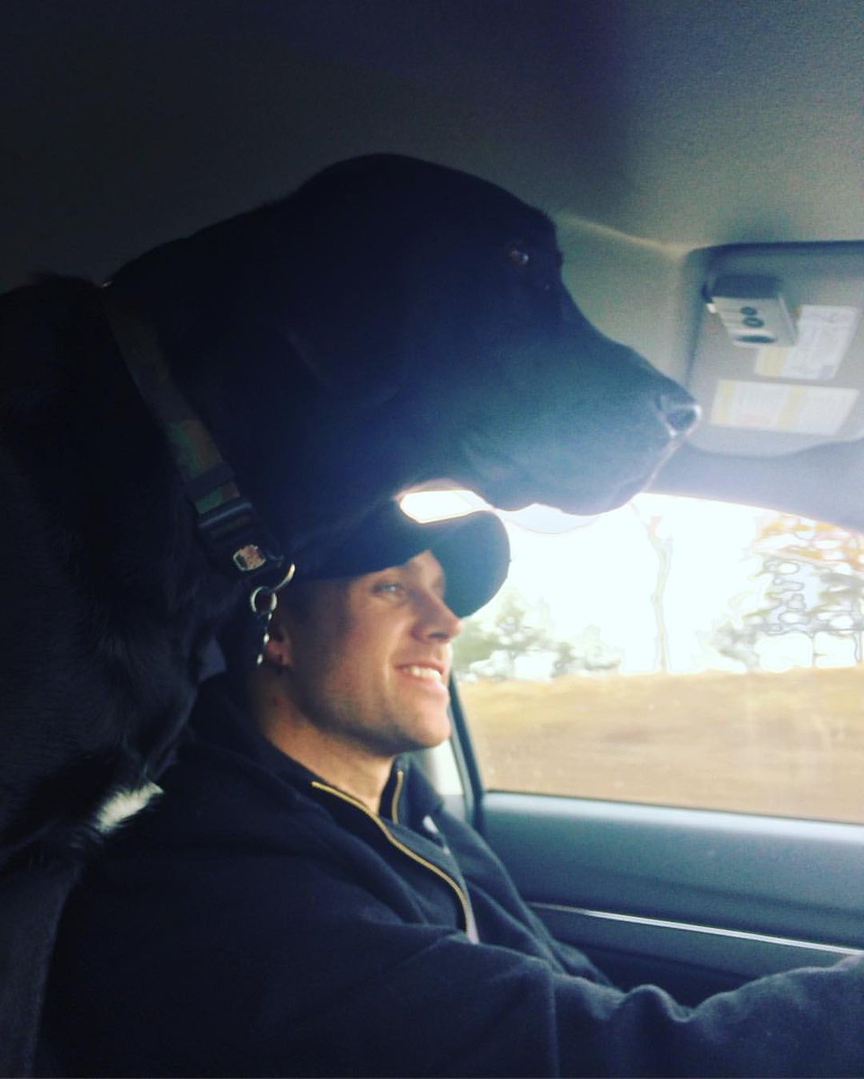 MaryJaneWat007's tweet photo. #365reasonstoloveMattWalst #MattWalst #ThreeDaysGrace
128. Yesterday was #NationalDogDay so today I post about Matt with dogs, as one 
of the reasons to love him more because it's so beautiful ❤ https://t.co/l7qklD7mSO
