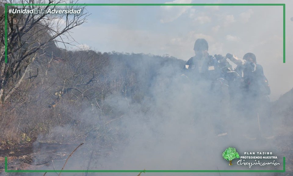 leticiadeCuba's tweet photo. La página en Facebook del Ministerio de Comunicación de Bolivia acaba de publicar estas imágenes del Presidente @evoespueblo visitando la zona del incendio forestal en la región de la Chiquitanía. Hoy el ejemplo lo da el Presidente indígena. #IncendiosAmazonas https://t.co/6jwbPuefdY