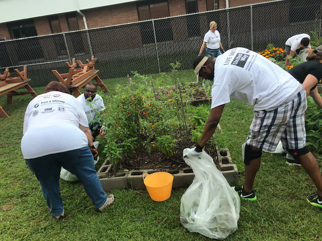 GoodwinGator's tweet photo. United Way collaboration with Pratt &amp; to harvest and clean up Goodwin Elementary School Community Garden. https://t.co/w4QMZKlSF4