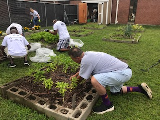 GoodwinGator's tweet photo. United Way collaboration with Pratt &amp; to harvest and clean up Goodwin Elementary School Community Garden. https://t.co/w4QMZKlSF4