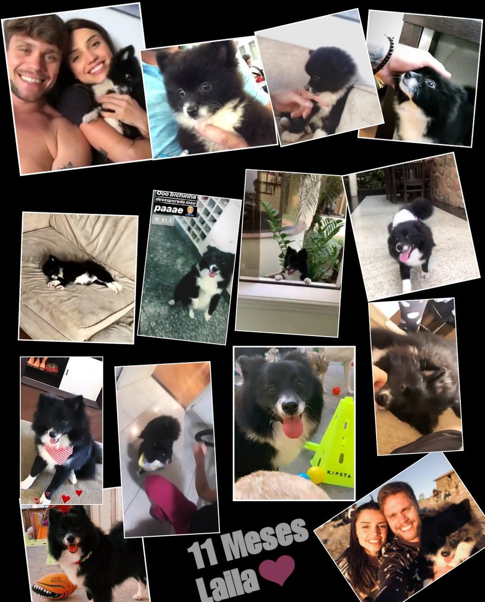 Np_AmorimSimoes's tweet photo. E Hj o Dia é Todo Dela...🤗🤗
A Pinxeza Mais Linda e Fofa...💕
Amo um Tantao...😍😍
#BDayLaila
#VinteeSete
#OnzeMeses
#LailaAmorimSimoes https://t.co/BsWhqzbkwS