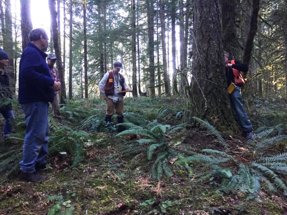 ePcarbon's tweet photo. Check out what's new with Forest Carbon Works! - https://t.co/BlIlx8Fyee https://t.co/eFwq0wzcRF
