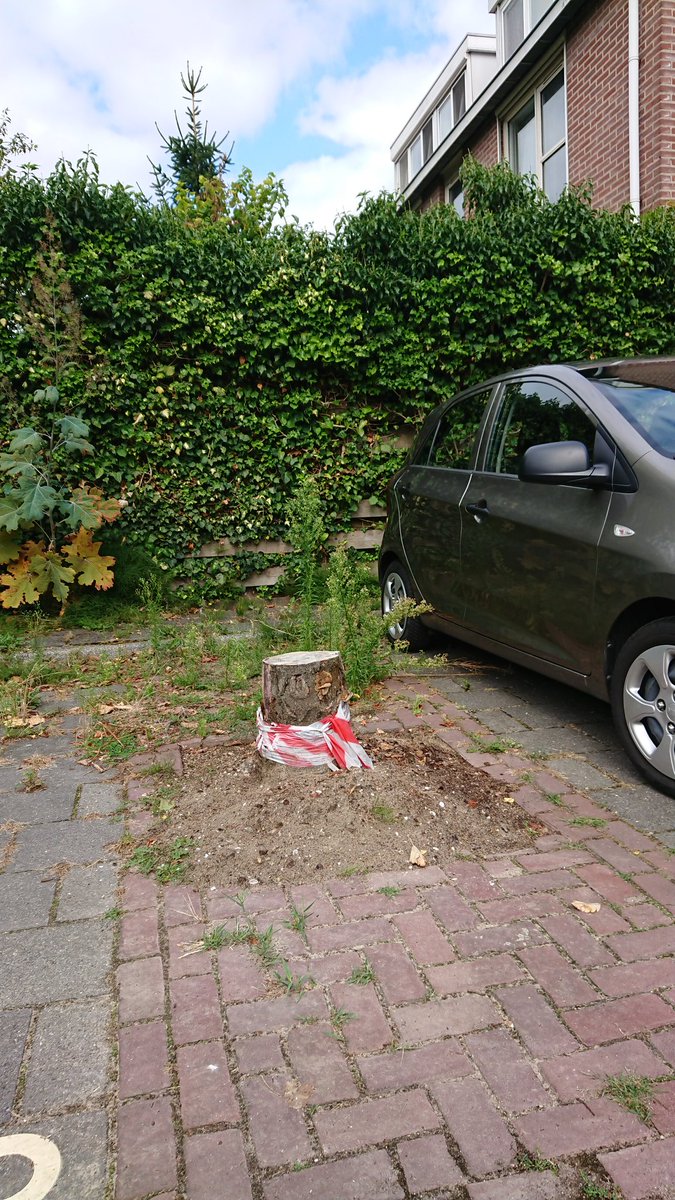 pschef61's tweet photo. @Gem_Amstelveen Deze boom heeft de gemeente in Middenhoven bij P Weegschaal maanden geleden weggehaald. Hopelijk wordt het karwei afgemaakt voordat er een auto mee botst https://t.co/ljEWXsdvGR