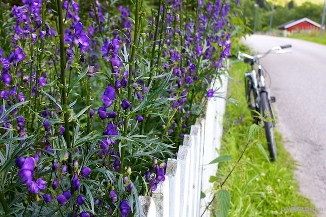 What IS Slow Travel?? And how can you do it? Find out here -->  buff.ly/2U8ch74