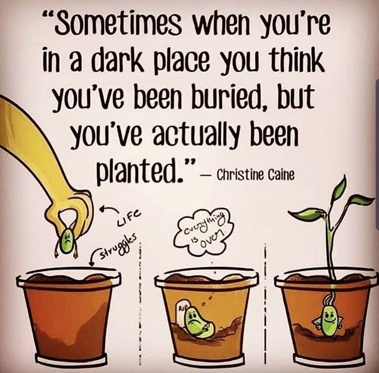 Sarah_EVV's tweet photo. 🌱 https://t.co/fULYPmg2zs