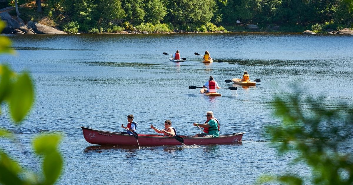 online film noir films of trust and betrayal the pocket essential