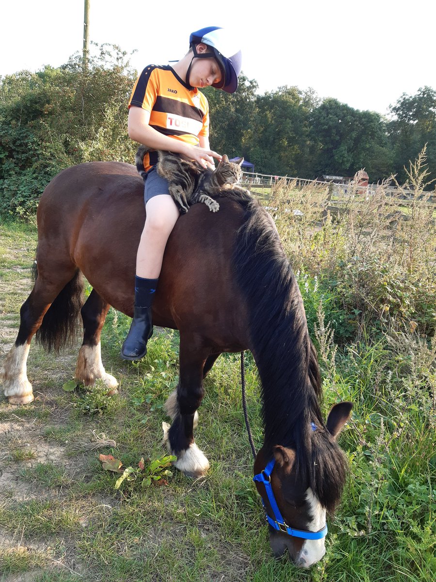 Fab news about the boy this morning from an important meeting 😁 He is growing well and catching up to his peers socially and emotionally. Generally doing very well. #ADHD #Dyslexia #Dyspraxia #Sensoryprocessing #proudmum #ponyhour #horsetherapy