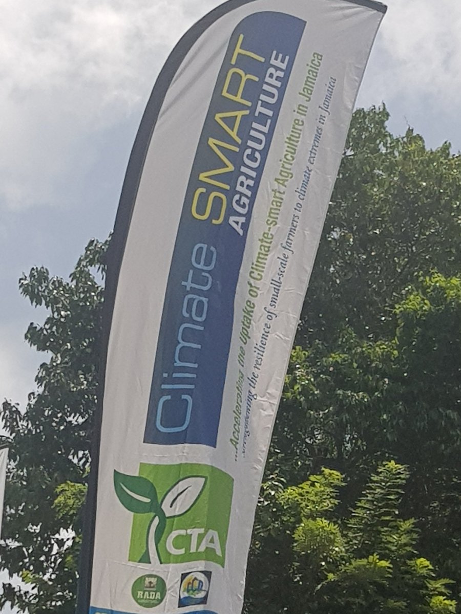 gemgord's tweet photo. Smart partnership engenders smart results @CTAflash @rada_jam @CcdJamaica @OluyedeAjayi #jamaicaleads #ClimateAction #UpCSA https://t.co/ccExqa7MNy