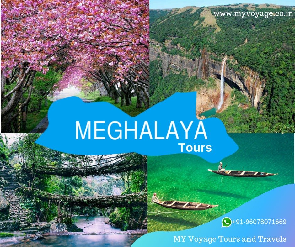 With glacial rivers, rugged beauty and swampy grasslands, there is more to #Meghalaya than this. 
Mail us at holidays@myvoyage.co.in /whatsapp +91 9678071669
#assamtours #meghalayatours #arunachalpradeshtours #manipurtours #mizoramtours #nagalandtours #sikkimtour #northeasttour