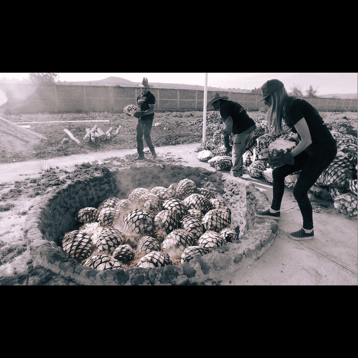 TheSmokeLabel's tweet photo. For those that want something a bit bit softer and sweeter than #Mezcal yet #MoreThanTequila ... #TSL is just that! 🥃💨 https://t.co/TgvXYnUmhI