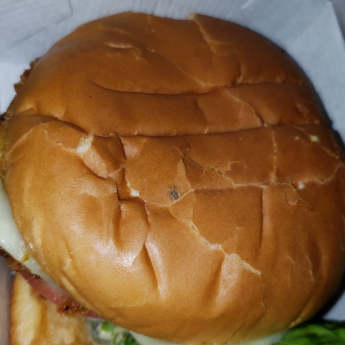 Winning Health Tips (health_winning) Twitter