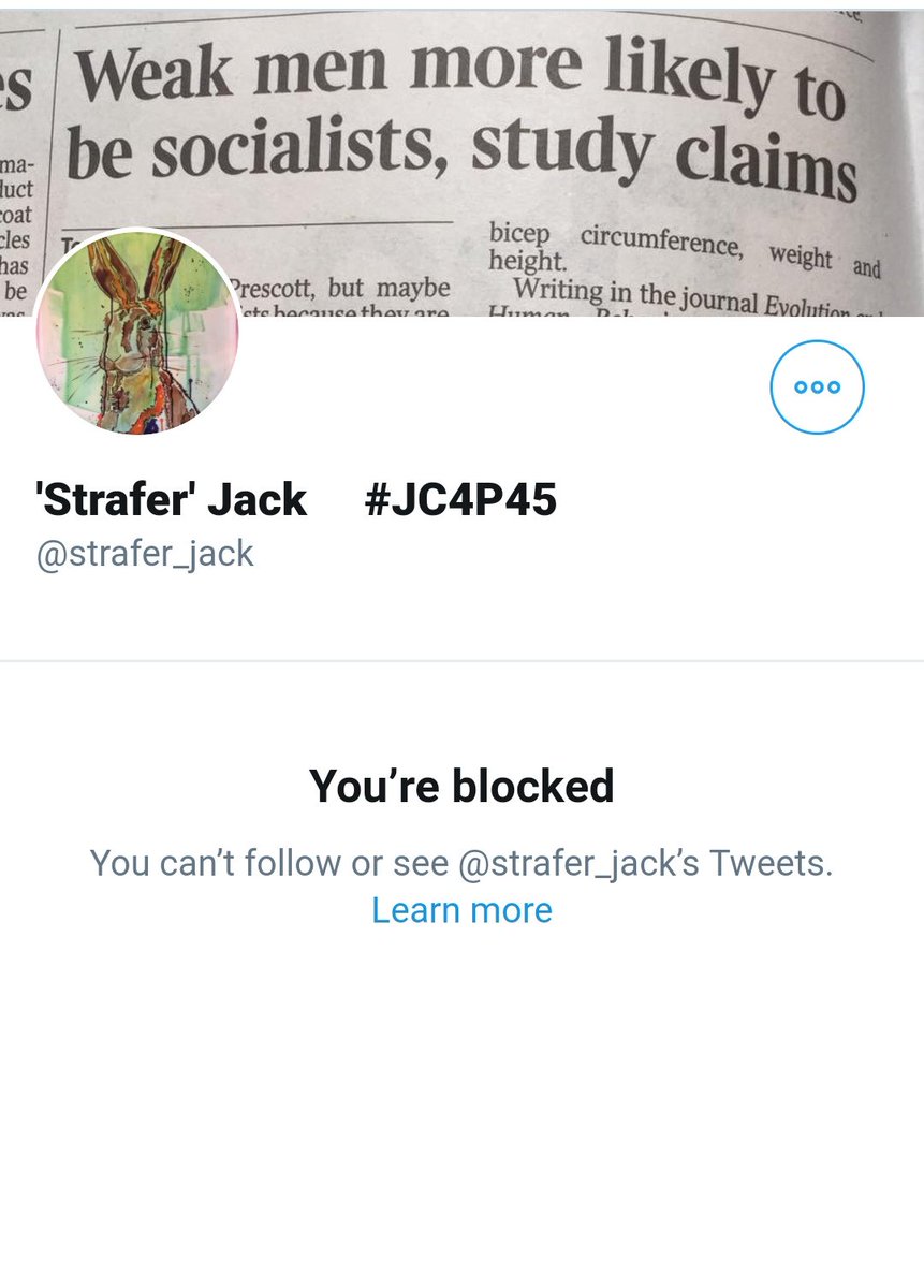 Suzy 🦊 tweet media