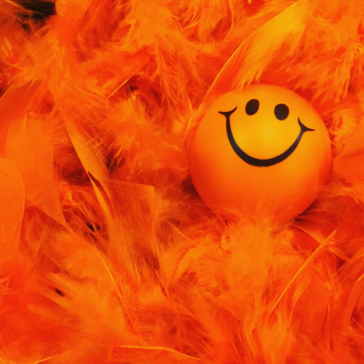 blfrassatihouse's tweet photo. โOrangeโ you glad tomorrow is Wear Your Colors Wednesday?!?!?! #FellowshipOrange for Frassati House! Accessories with uniform (see guidelines posted in Friar Facts). #8Houses1Home #versoalto #FriarWeek https://t.co/dby5iKVSWA