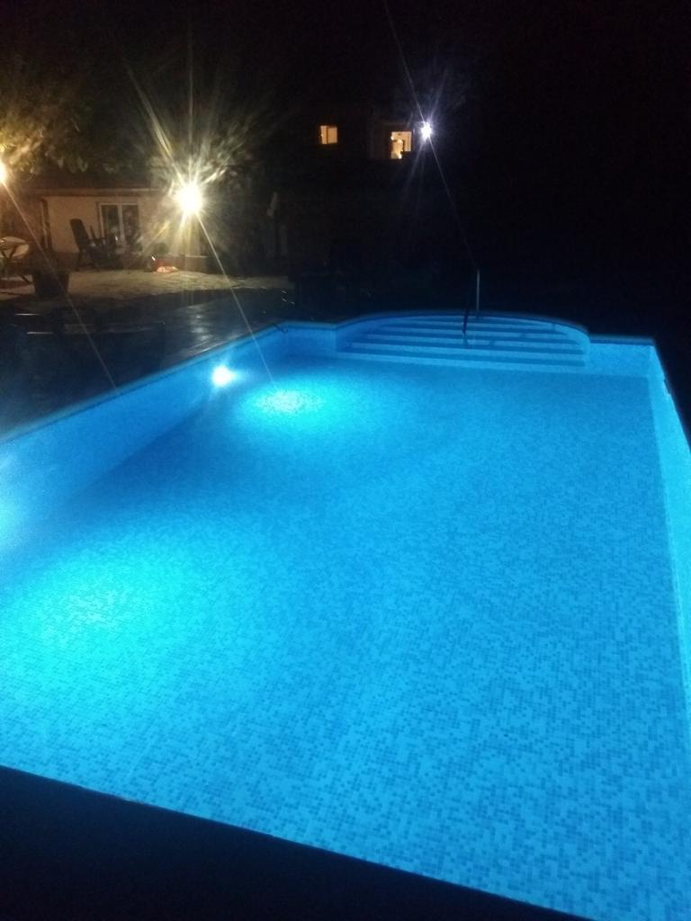 Bulgarian Charm tweet media