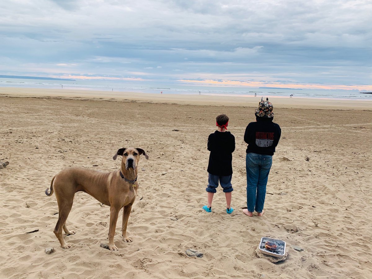 wirlygallacher's tweet photo. Goofing with my my favourite goofers...
#BunnyTheDog
#beachgoons
#dogsoftwitter
#greatdane https://t.co/lwBwTJrYsK