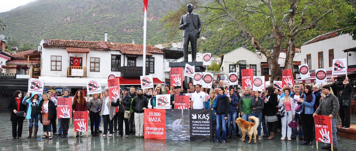 BuketUzuner's tweet photo. #bodrumYunusParkıKapansın #YunuslaraÖzgürlük #esirhayvankalmasın #freedolphins #freetanks
Alkışlar #Kaş yunus parkı kapandı👏🐬 Sıra #Bodrum da🐬🐬🐬 https://t.co/qT7DclY2bI