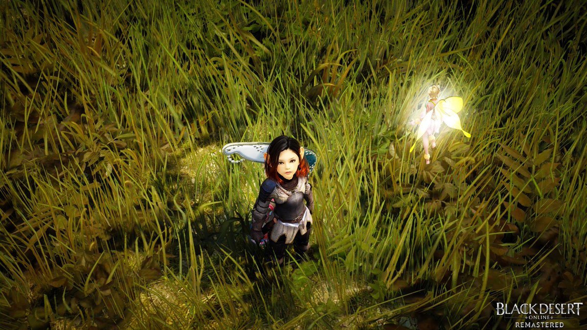 H4V0C09's tweet photo. #BlackDesertOnline #BlackDesert #MMORPG #MMO #BDO #BDOMemories #BDOSS #gaming #BDOremastered #BDOCharacter #Notcamerashai https://t.co/QE4g5IKkRN