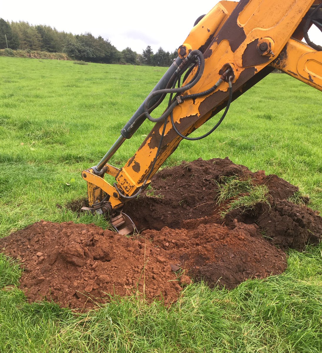SoilIreland's tweet photo. Checking a #Sobac field today with 2 applications of #Bacteriosol #roots https://t.co/eNVUpwSjs8