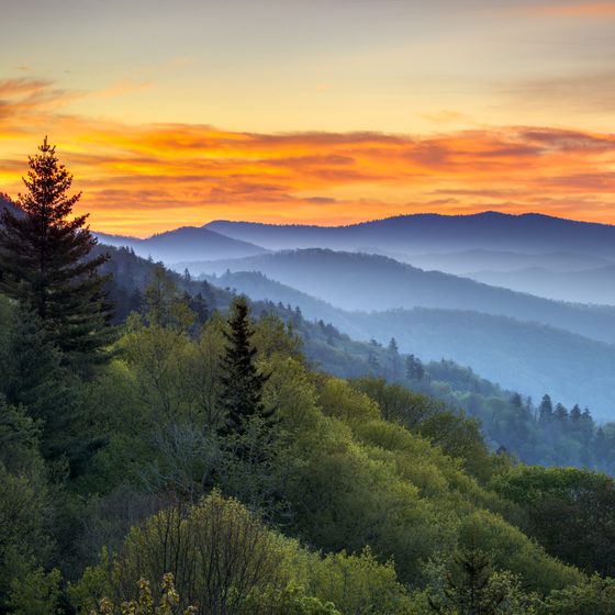 wwvacopp's tweet photo. FREE 3 night stay in #Gatlinburg - #PidgeonForge #vacation #travel #traveling #traveler #travelkarma #travelbuyg #traveltuesday #travelholic - https://t.co/QY0qVrBnrl https://t.co/LNyQoBDkvu