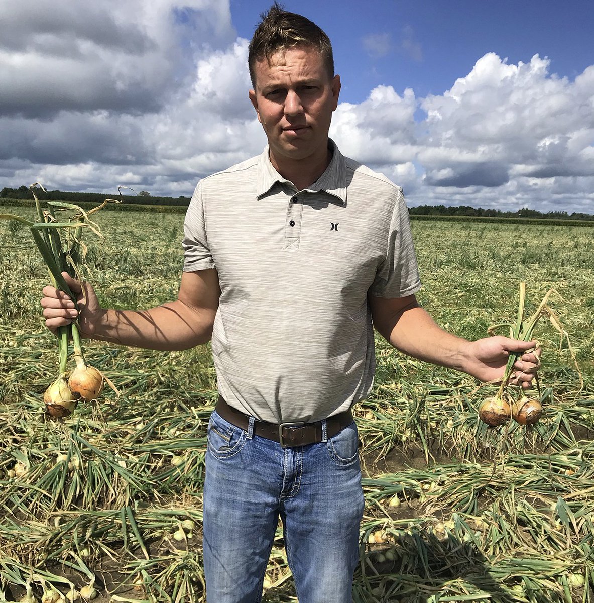 PerformFertAG's tweet image. Check out these onions in MI. #VitaGib-40% boosted the onion crop by accelerating growth and development. #PerformanceTechnology #GrowSustainably  Learn More: bit.ly/2zssJpr