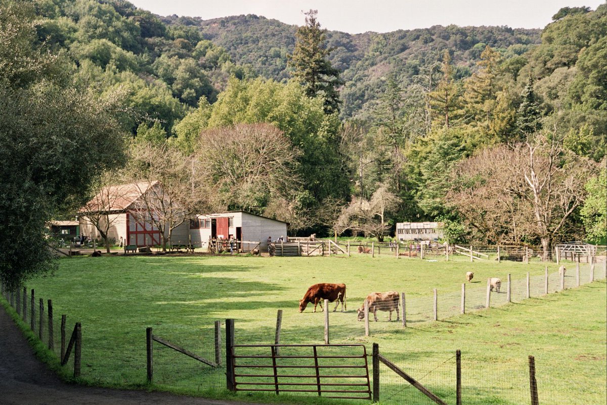 Hidden Villa tweet media