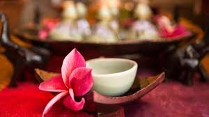 dovesuites's tweet photo. #hotel with beautiful landscaping and quit place ever
Bring #love create #Romance enjoy #RomanticSuspense 
Call 215 638 3683 Ext 1 https://t.co/yLkRbeJWqo