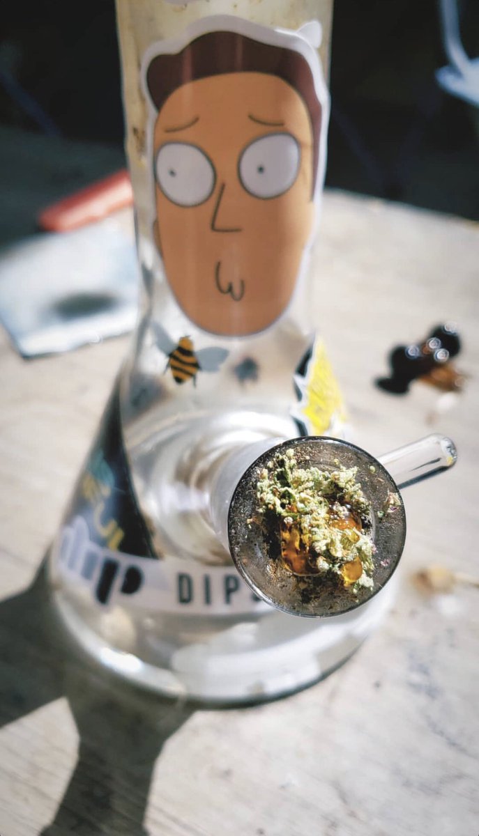 ripplepixie's tweet photo. Good afternoon from Sara and I 💖 #globbed #RickAndMorty #420blazeit https://t.co/5XLNYy8ZRD