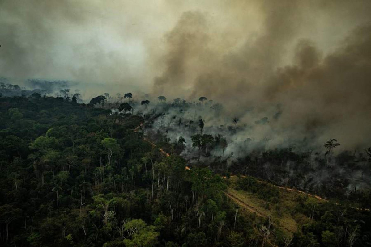 Podría parecer algo muy lejano, pero el incendio en la #Amazonia nos afectará a todos. Esta tragedia natural está dañando al ecosistema que provee el 20% del total del oxígeno en el planeta.