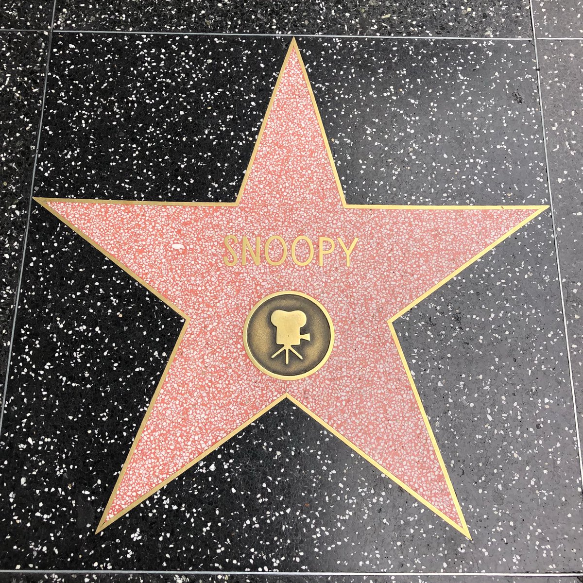 Sunny Days Ar Twitter Usj聖地巡礼 Hollywood Blvdのウォーク オブ フェイム ハリウッド殿堂入りを果たしたスターの名前が刻まれている Usjも同じくハリウッド大通りにあるね こちら本物のウォークオブフェイムで見れるusj関連キャラクターのプレートを