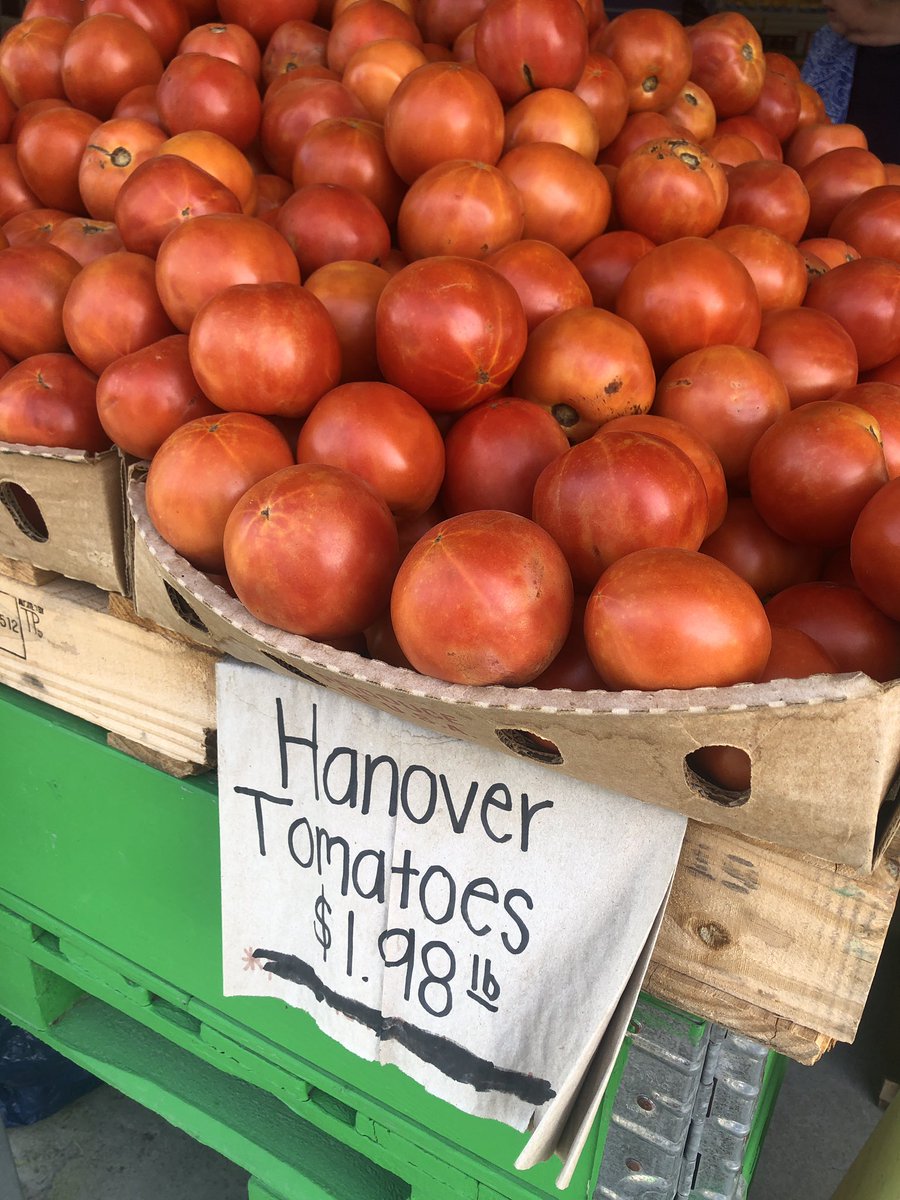 tamaraletter's tweet photo. If you read a #PassionForKindness, this is what a Hanover Tomato from Pole Green Produce looks like! The sweetest tomato you will ever eat! This one’s for you @Mo_physics! #DBCIncBooks #rva #HanoverTomato #buylocal https://t.co/otjo0LsW2W