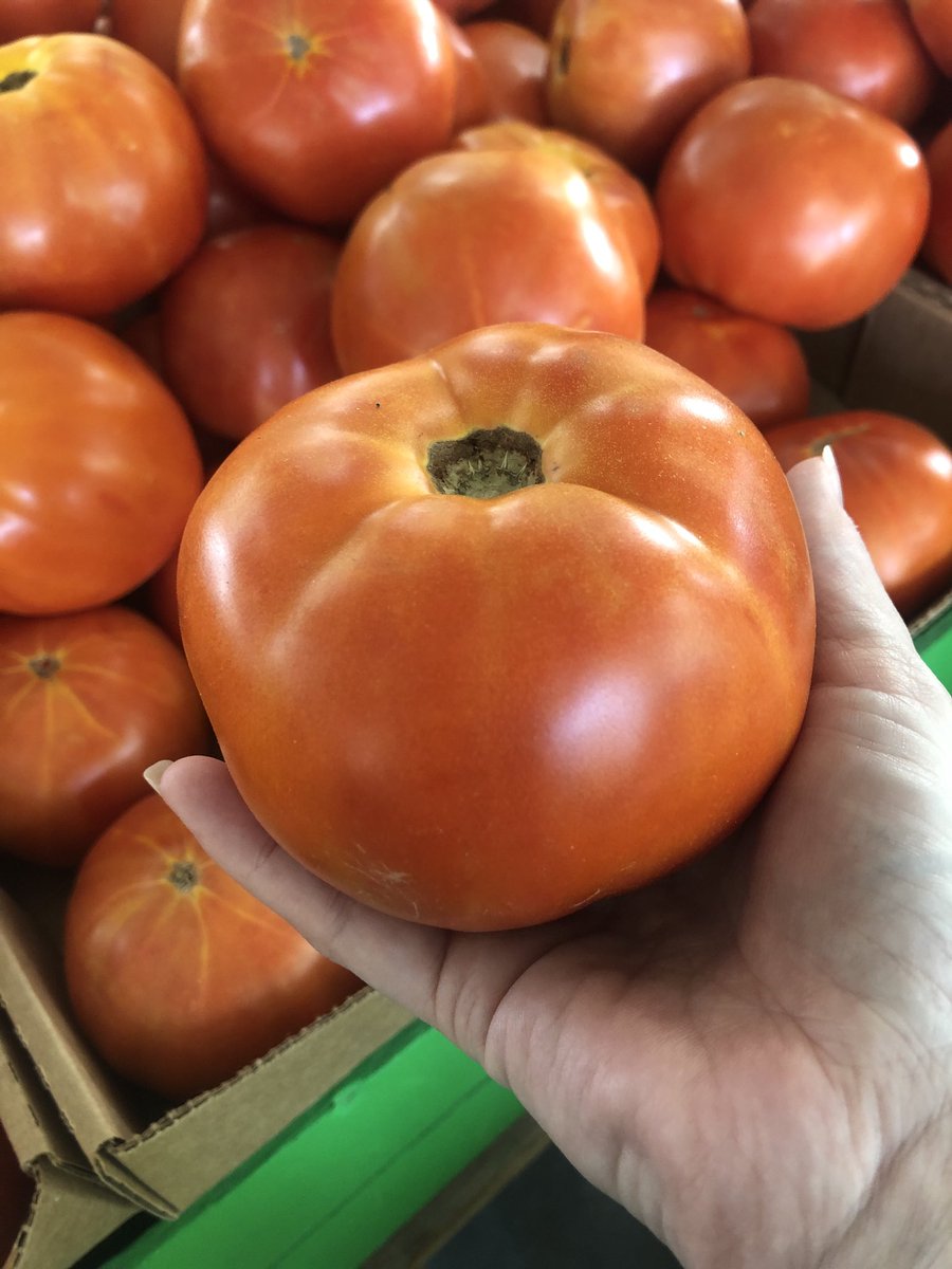 tamaraletter's tweet photo. If you read a #PassionForKindness, this is what a Hanover Tomato from Pole Green Produce looks like! The sweetest tomato you will ever eat! This one’s for you @Mo_physics! #DBCIncBooks #rva #HanoverTomato #buylocal https://t.co/otjo0LsW2W