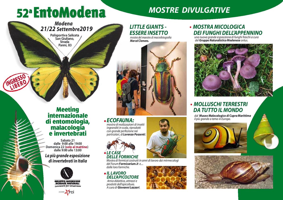 GMSN_Entomodena's tweet photo. Ecco il programma completo di #EntoModena a #Modena il 21 e 22 settembre (la domenica solo al mattino!).
Controllate anche le iniziative pre-EntoModena qui sotto 👇
#bambini #educazione #salute #natura #ambiente #animali #mostre #scienza https://t.co/M3FeyBva8L